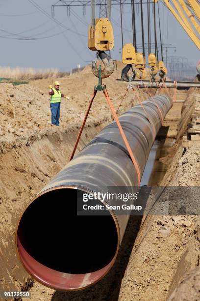 Worker shouts commands as cranes lower a section of pipe into the ground for the OPAL pipeline on April 8, 2010 near Lubmin, Germany. The OPAL and...