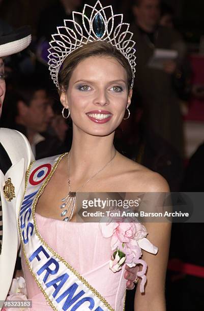 Sylvie Tellier - Miss France 2002