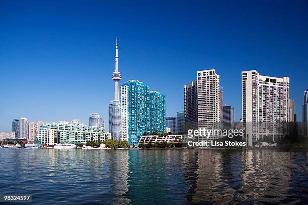 toronto cityscape - lisa stokes stock pictures, royalty-free photos & images