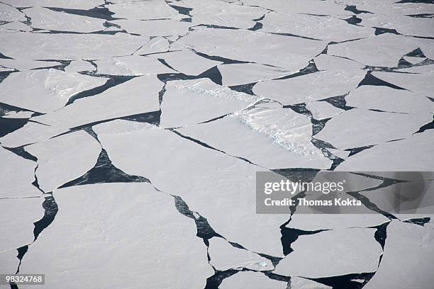broken pieces of ice floating in the weddell sea - weddell sea - fotografias e filmes do acervo