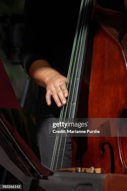 a man's hand on a double bass highlighted in the sun - klassisk orkestermusik bildbanksfoton och bilder