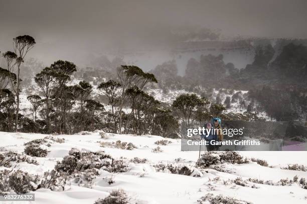 overland track, tasmania - overland track stock pictures, royalty-free photos & images