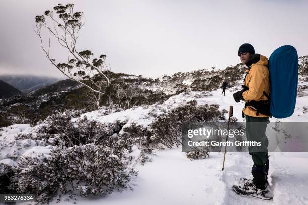 overland track, tasmania - overland track bildbanksfoton och bilder