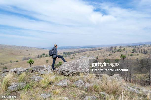 en busca del cerro champaqui - busca stock pictures, royalty-free photos & images