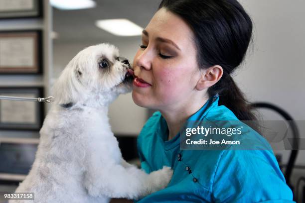 Master groomer" Christie Henriksen, getting some love from Keeper, a Bichon Frise/Shih tzu Mix owned by Pauletta Kruger after his grooming at her...