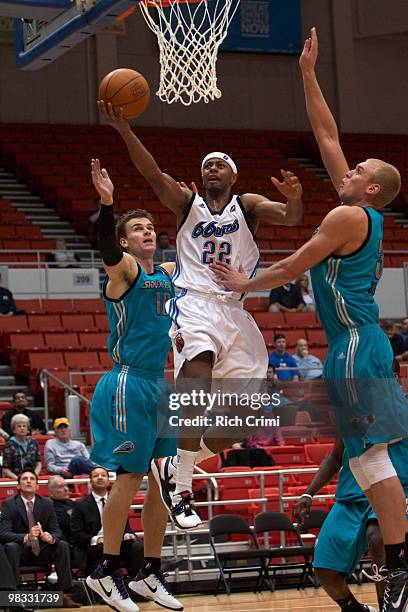 Mustafa Shakur of the Tulsa 66ers drives to the basket against the Sioux Falls Skyforce during Game One of the First Round of the 2010 NBA D-League...