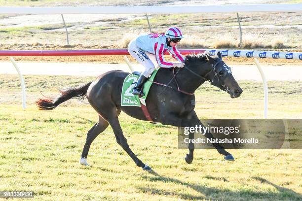 Fanciful Toff ridden by Michael Poy wins the Mildura Cup Carnival 27th & 28th July Murray Mallee Stayers Heat 1 at Mildura Racecourse on June 25,...