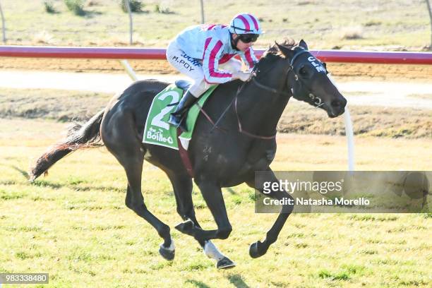 Fanciful Toff ridden by Michael Poy wins the Mildura Cup Carnival 27th & 28th July Murray Mallee Stayers Heat 1 at Mildura Racecourse on June 25,...