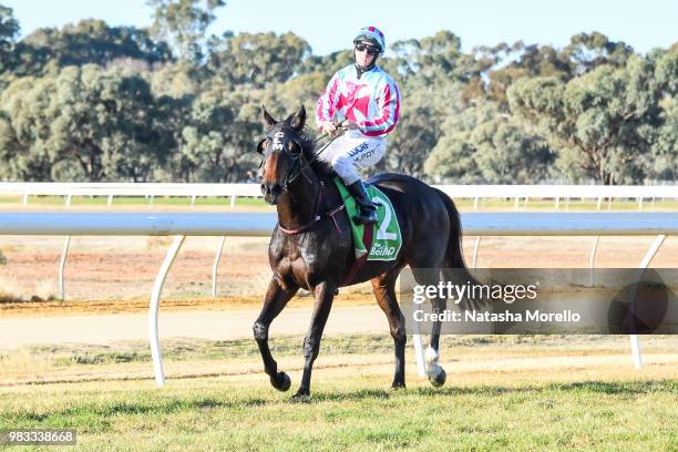 Michael Poy returns to the mounting yard aboard Fanciful Toff after winning the Mildura Cup Carnival 27th & 28th July Murray Mallee Stayers Heat 1 at...