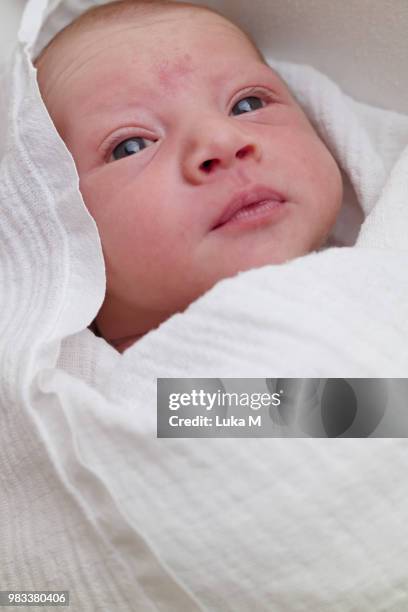 newborn baby boy in white cloth diaper - adults wearing cloth diapers ストックフォトと画像