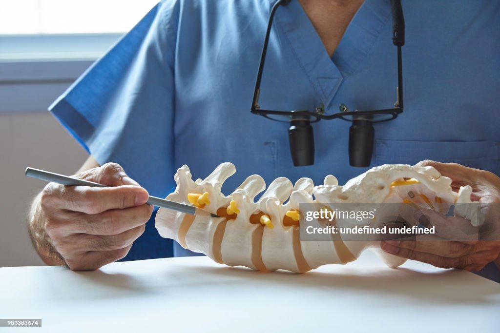 A neurosurgeon pointing at lumbar vertebra model