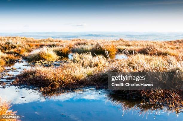 frosted grass and frozen water near summit of corn du.image from a circular walk taking in the peaks of corn du and pen y fan in the brecon beacons national park, south wales, uk. january - pen y fan stock pictures, royalty-free photos & images