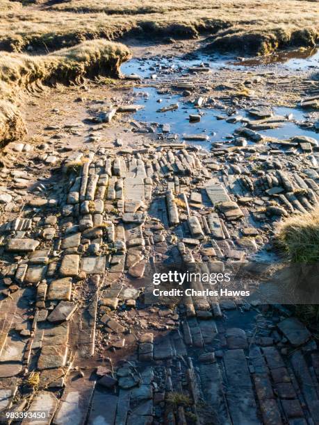 footpath on bedrock at cribyn. image from a circular walk taking in the peaks of corn du and pen y fan in the brecon beacons national park, south wales, uk. january - pen y fan stock pictures, royalty-free photos & images