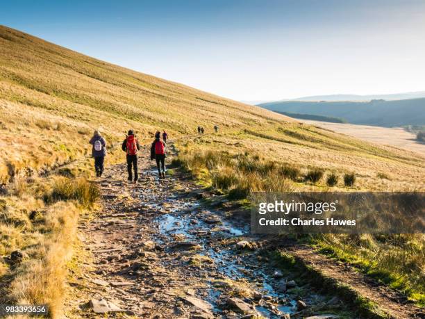 walkers descending path from fan y big. image from a circular walk taking in the peaks of corn du and pen y fan in the brecon beacons national park, south wales, uk. january - pen y fan stock pictures, royalty-free photos & images