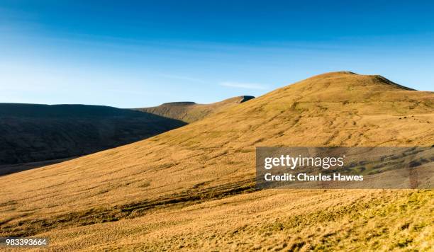 view of cribyn, pen y fan and corn du. image from a circular walk taking in the peaks of corn du and pen y fan in the brecon beacons national park, south wales, uk. january - pen y fan stock pictures, royalty-free photos & images