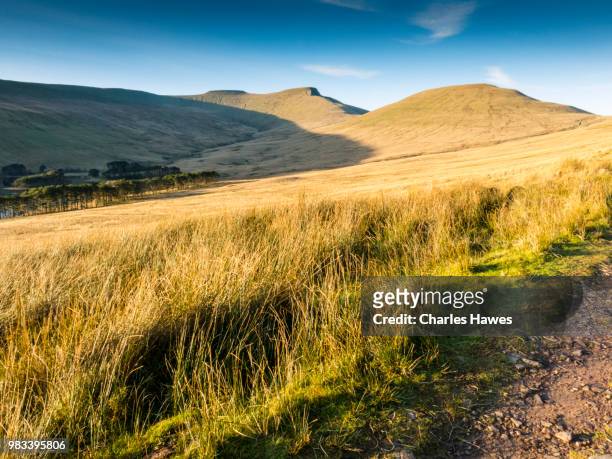 view of cribyn, pen y fan and corn du. image from a circular walk taking in the peaks of corn du and pen y fan in the brecon beacons national park, south wales, uk. january - pen y fan stock pictures, royalty-free photos & images