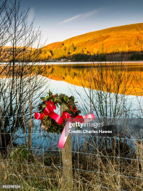 memorial wreath at pontsticill reservoir. image from a circular walk taking in the peaks of corn du and pen y fan in the brecon beacons national park, south wales, uk. january - pen y fan stock pictures, royalty-free photos & images