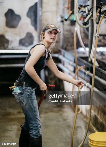 dairy farm-mitarbeiter - man milking woman stock-fotos und bilder