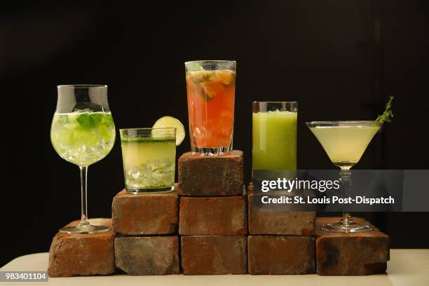 From left, Honeydew Basil Spritzer, Lime Vodka, Chasing Basil Cocktail, Minty Cucumber Melon Drink, and Thyme Lemondade.