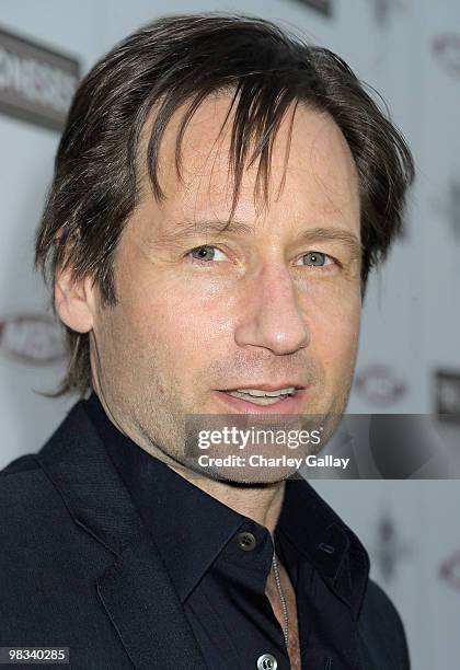 Actor David Duchovny arrives at Roadside Attractions & Echo Lake Entertainment's premiere of 'The Joneses' held at Arclight Hollywood Cinema on April...