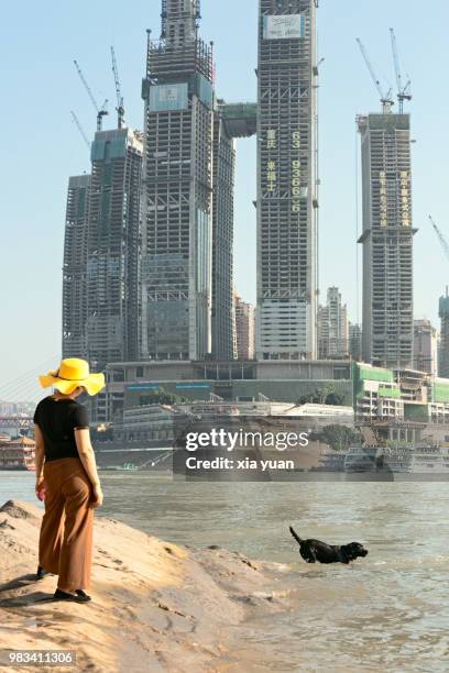 the owner watching her dog swimming in the yangtze river,chongqing,china - zuidwest aziatische etniciteit stockfoto's en -beelden