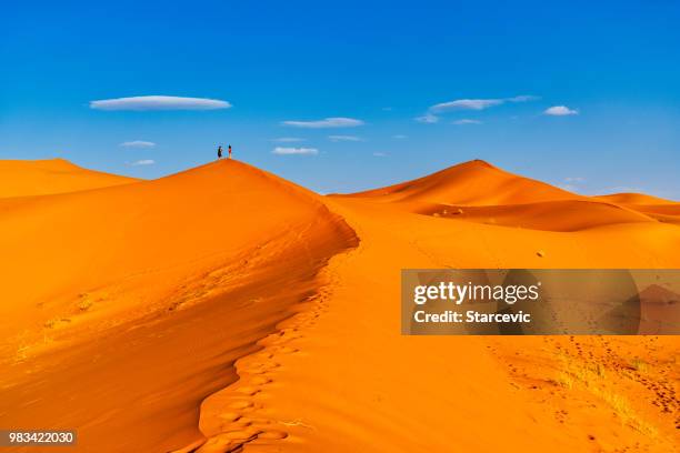 toeristen in de sahara woestijn - marokko - merzouga stockfoto's en -beelden