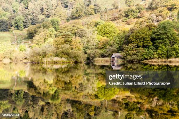 the still water of rydal water in the lake district national park, cumbria, england. - rydal stock pictures, royalty-free photos & images