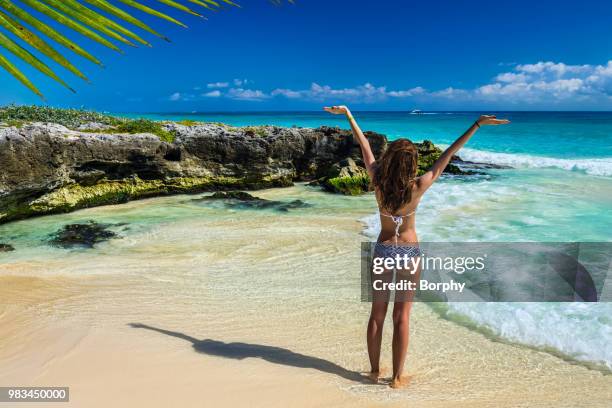 beautiful young woman in bikini enjoying tropical beach and cari - cari imagens e fotografias de stock