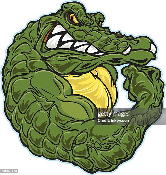 stockillustraties, clipart, cartoons en iconen met gator flex - grimacing