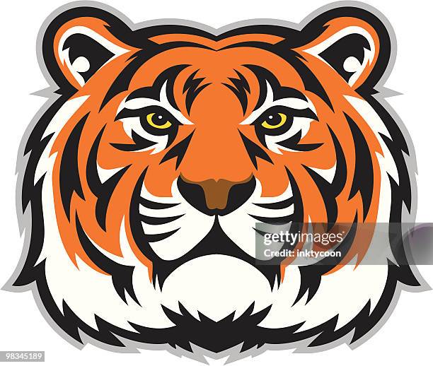 stockillustraties, clipart, cartoons en iconen met tiger face - close up face