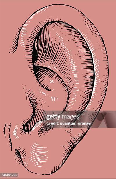 stockillustraties, clipart, cartoons en iconen met human ear - menselijk oor