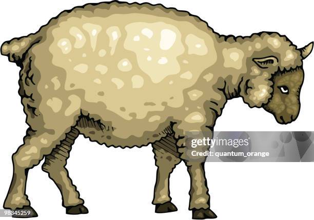 5 633点の羊 かわいいのストックフォト Getty Images 5 633点の羊 かわいいのストックフォト Getty Images