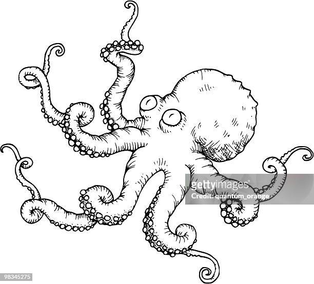 stockillustraties, clipart, cartoons en iconen met octopus - tentacle