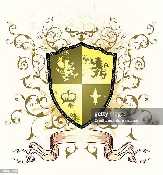 coat of arms - double identity stock illustrations