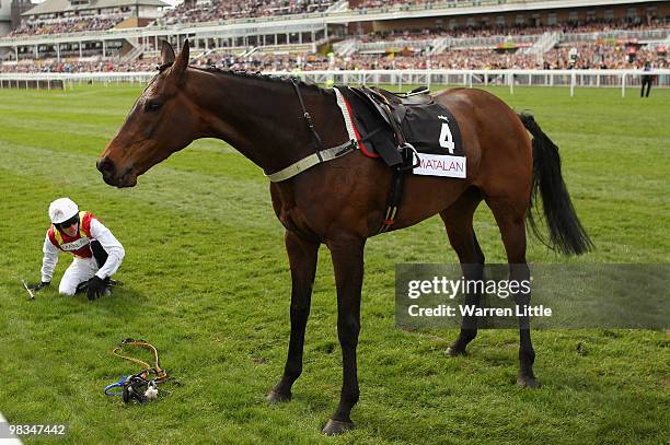 Jason Maguire takes a fall ridding Khachaturian in The matalan.co.uk Mildmay Novices' Steeple Chase at Aintree racecourse on April 9, 2010 in...