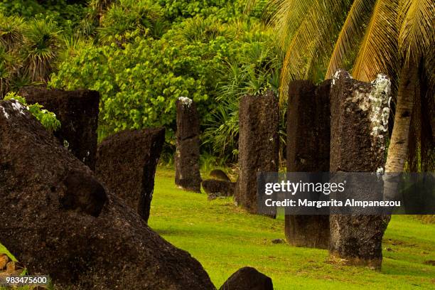 Talipalau The Palau Photos et images de collection - Getty Images