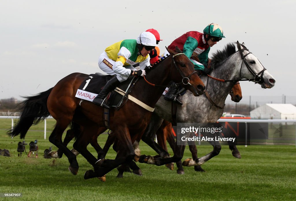 Aintree Races