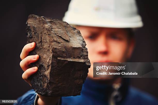 worker in coal mine - 褐炭 ストックフォトと画像