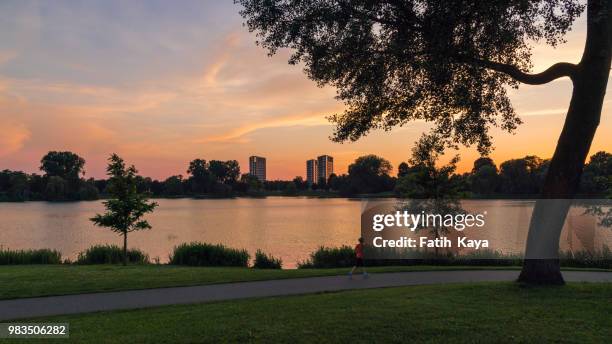 chasing the sun - sunset in den bosch - fatih kaya stock-fotos und bilder