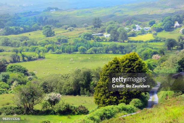 coomkeen loop walk on sheep's head peninsula, in west cork, ireland. - bo zaunders fotografías e imágenes de stock
