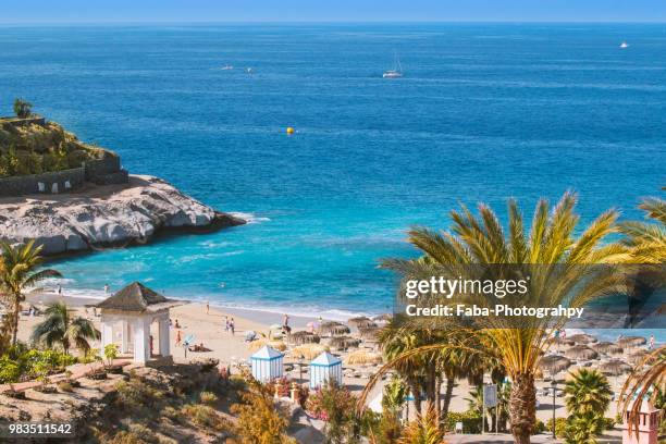 beach on canary island tenerife - tenerife - fotografias e filmes do acervo