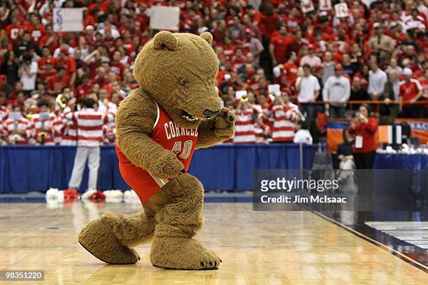 Big Red Bear the mascot of the Cornell Big Red performs against the Kentucky Wildcats during the east regional semifinal of the 2010 NCAA men's...