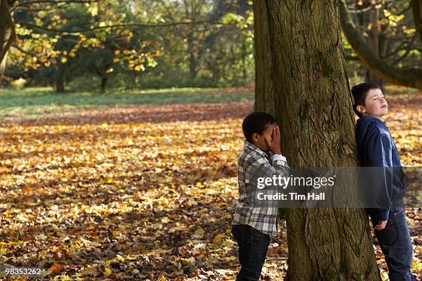 fun in autumn - hide and seek stock pictures, royalty-free photos & images