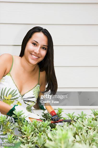 young woman trimming hedges - revestimento exterior de parede imagens e fotografias de stock