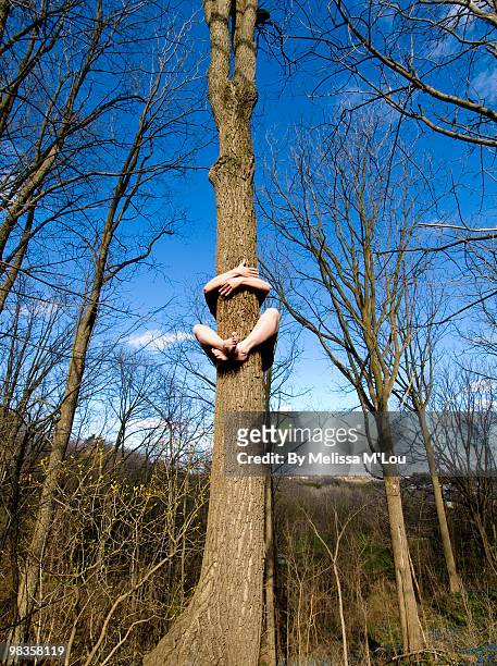 earth day tree hugger - tree hugging stock pictures, royalty-free photos & images