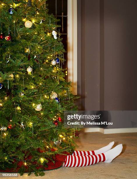 christmas tree witt  woman  - legs in stockings stock pictures, royalty-free photos & images