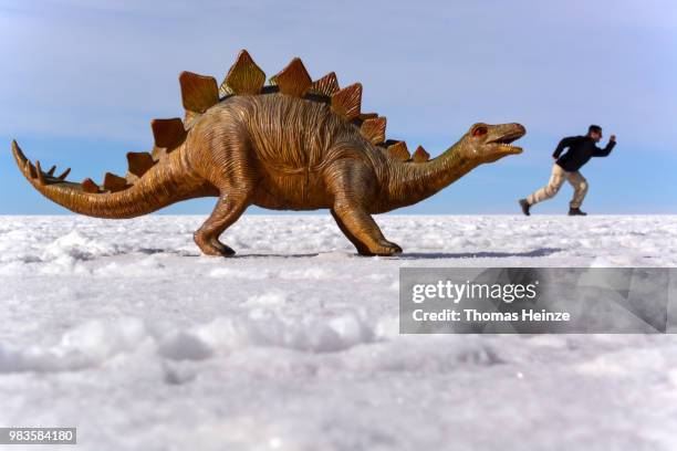playing with perspective - paläozoologie stock-fotos und bilder