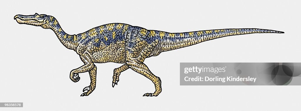 Illustration of Baryonyx saurischia dinosaur
