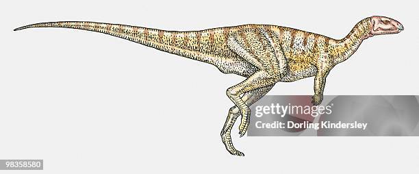 Illustration Of Dryosaurus Ornithopod Dinosaur High-Res Vector Graphic