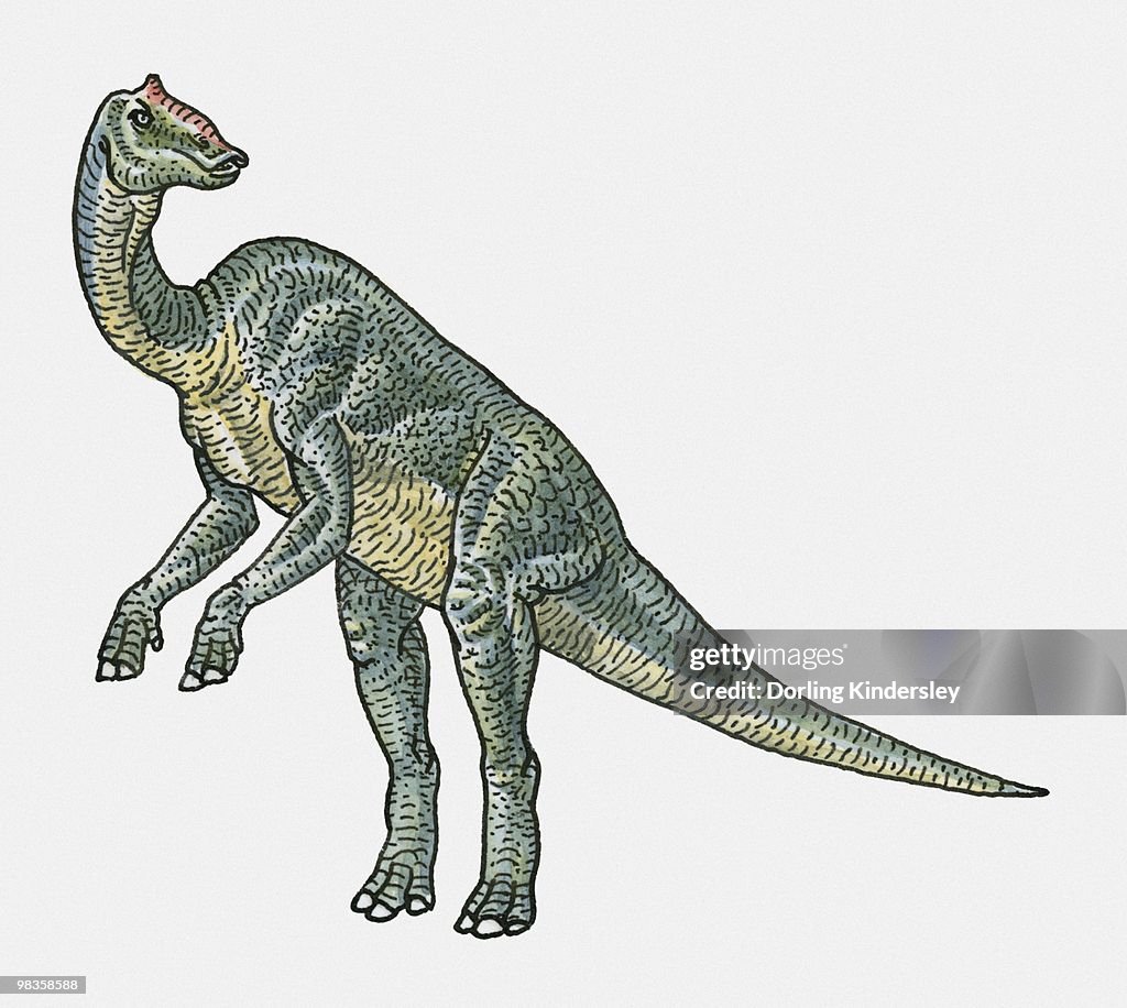 Illustration of Prosaurolophus hadrosaurid dinosaur